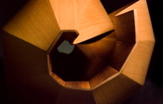 birch-walnut-shell-close-up