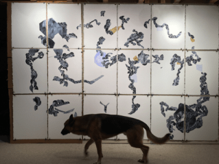 screen-shot-2017-02-28-at-11-32-55-am